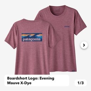 patagonia womens capilene cool graphic shirt | large